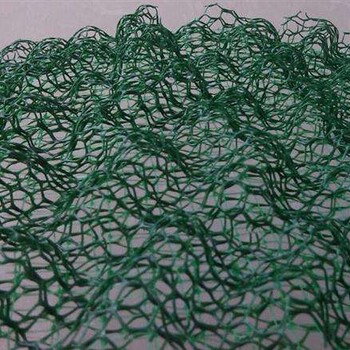广西三维植被网，三维网，土工网，塑料网垫柳州采购