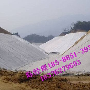 广州土工布价格，深圳土工膜厂家，佛山土工膜焊接施工团队。