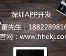 深圳APP开发社交AIAPP