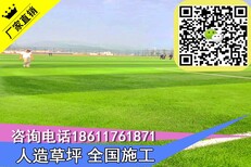 北京西城区幼儿园人工草坪铺设改造人造草坪有限公司图片5