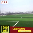 北京昌平绿化装饰草坪材料假草坪地面施工图片