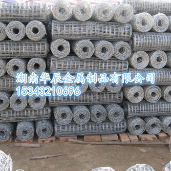 鍍鋅電焊網(wǎng)廠家長(zhǎng)沙專賣廠家