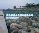 石笼网价格石笼网厂家PVC包塑石笼网供应图片