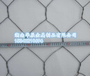 湖南五拧石笼网厂家石笼网生产长沙石笼网图片