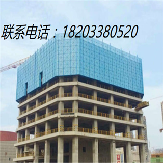 上海防护圆孔网片高层建筑安全防抛爬架防护网图片4