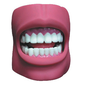 自然大小牙齿护理保健模型（带脸颊）BIX-HY2
