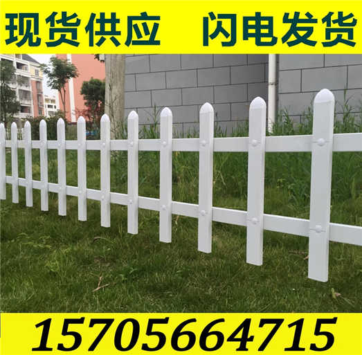 三明市清流县pvc护栏 塑钢护栏围栏