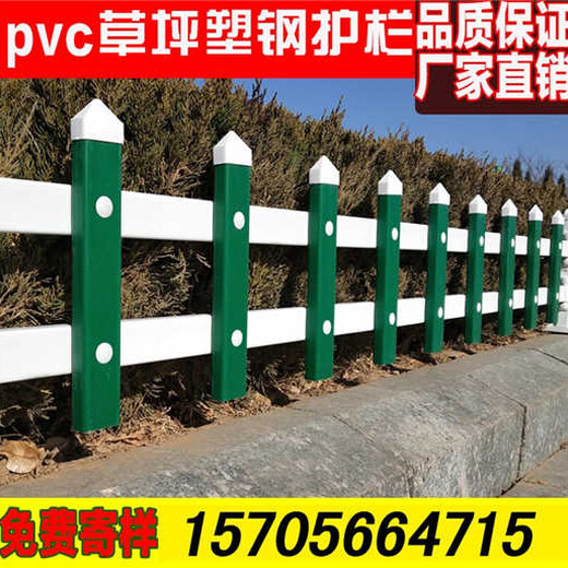 温州市泰顺县pvc隔离栏杆安装尺寸供应，护栏合理价位