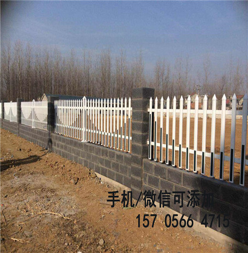 厂商出售江苏省镇江市幼儿园围栏户外紫竹子篱笆竹栅栏