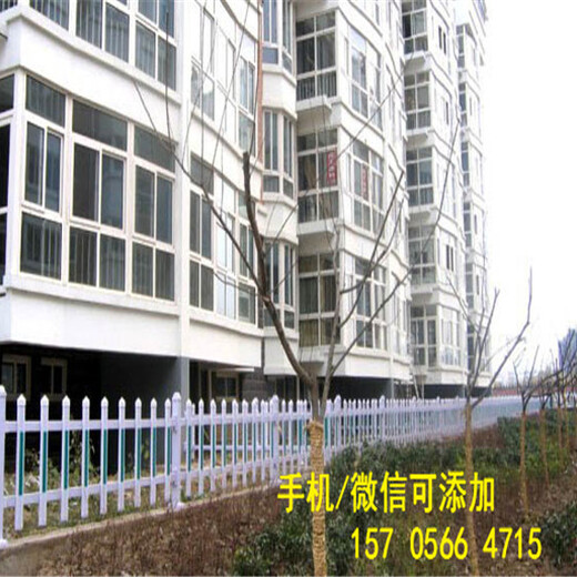 市場價格贛州市龍南幼兒園圍欄戶外紫竹子籬笆竹柵欄