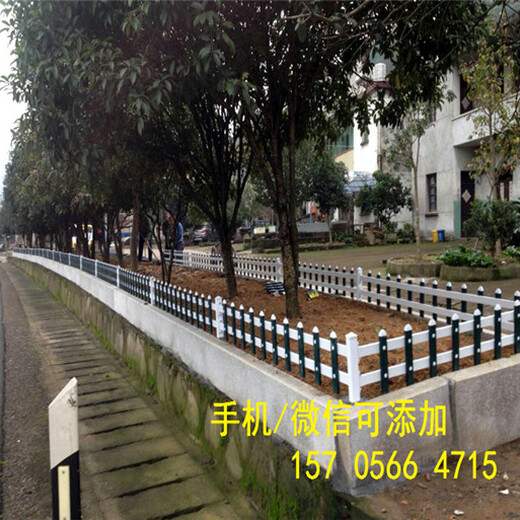 市場報價河南省鶴壁市幼兒園圍欄戶外紫竹子籬笆竹柵欄