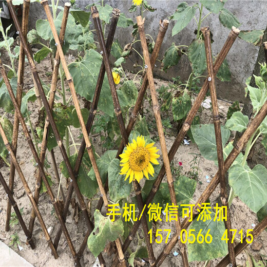 厂商出售南阳市卧龙区花草围栏户外花园护栏