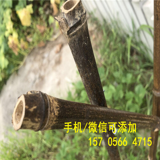 多少錢信陽市淮濱幼兒園圍欄戶外紫竹子籬笆竹柵欄