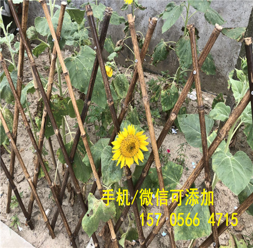 價格許昌市許昌變壓器欄桿花草護(hù)欄