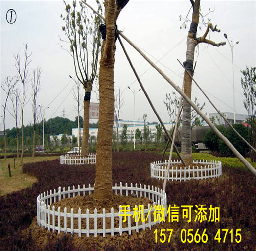 南昌东湖赠立柱 塑钢草坪护栏 送立柱，送配件