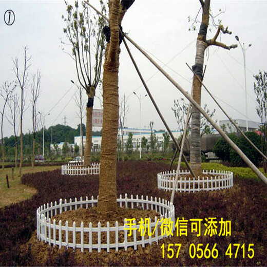 江西省宜春市绿化带护栏绿化栏杆厂便宜无假货