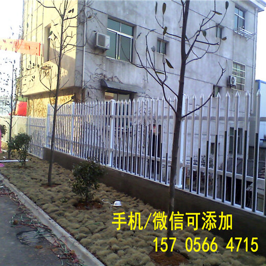 安庆市太湖县绿化塑料园林围栏