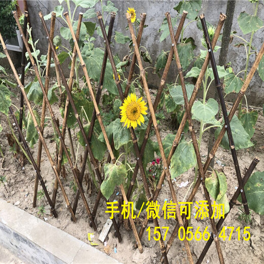 哪里买荆州市荆州区幼儿园围栏户外紫竹子篱笆竹栅栏
