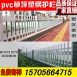 滨湖区PVC塑钢护栏草坪绿化花园围栏栅栏的价格图片2