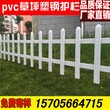 安徽淮南pvc护栏、绿化带护栏哪家好图片