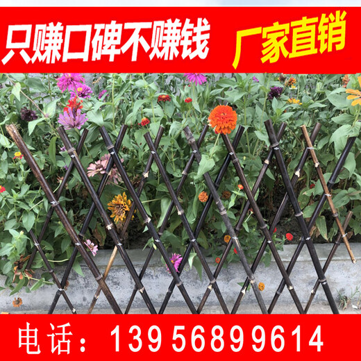 景德镇乐平竹篱笆紫竹子花园围墙价格表
