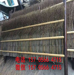 确山县PVC围栏送立柱pvc护栏草坪护栏生产厂家图片1