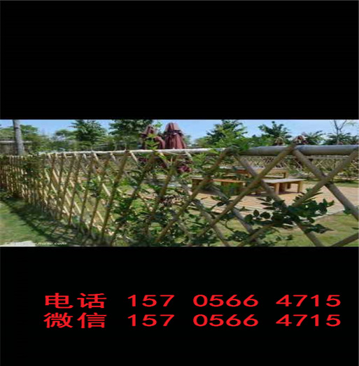 广东肇庆端州区包立柱 pvc塑钢护栏 花坛草坪护栏多少钱价格