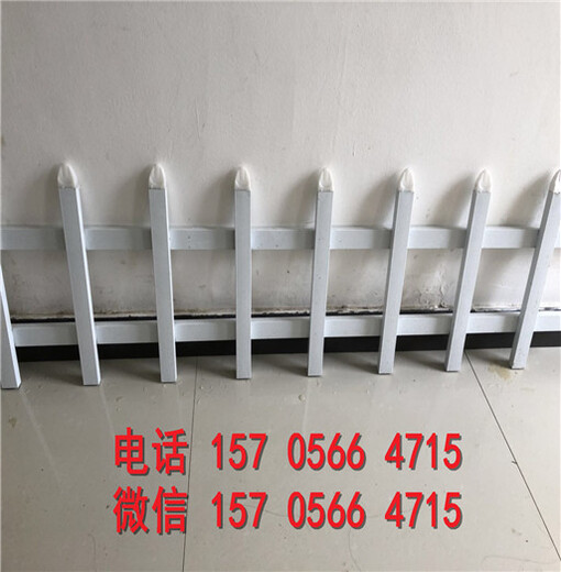 广东云浮塑钢围墙护栏PVC工厂围栏别墅花园栏杆厂商出售