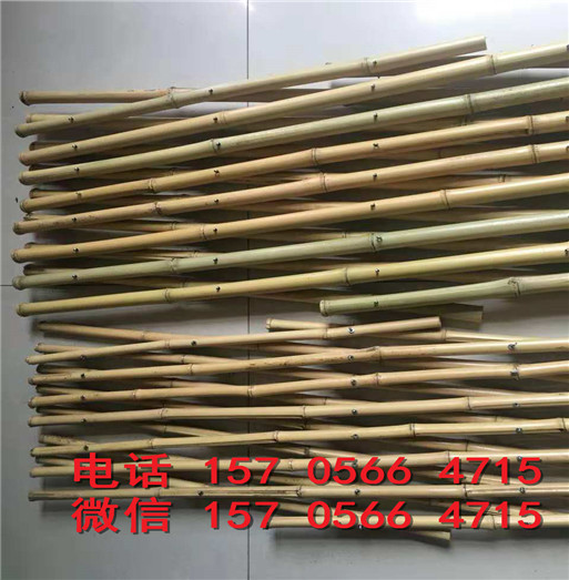 渭南蒲城PVC 塑钢草坪护栏绿化围栏厂商