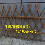晋江市锌钢护栏围栏铁艺围墙铸铁栏杆图片5