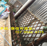 朔州市阳台围栏栅栏竹围墙竹排帘图片1
