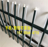 南京市锌钢护栏铁艺围栏围墙家用图片5