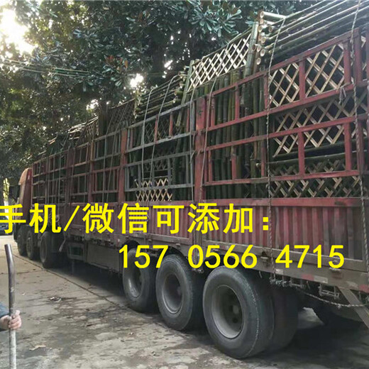 徐州丰县户外绿化带花坛PVC塑钢护栏围栏厂家批发