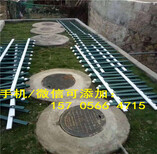 清丰县塑钢护栏绿化栅栏草坪护栏满足各种需求图片4