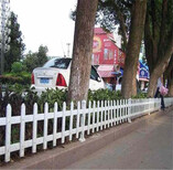 泗阳县庭院栏铁艺小区栅栏铸铁花园绿图片2