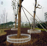 张家港市PVC塑钢护栏草坪绿化花园围栏栅栏指导报价图片4