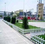 清丰县塑钢护栏绿化栅栏草坪护栏满足各种需求图片3