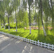 通江县PVC塑钢草坪绿化护栏户外花园围栏厂家供货