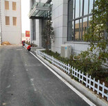平湖市PVC塑钢护栏草坪绿化花园围栏栅栏的价格图片5