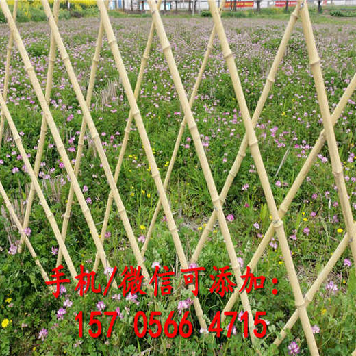 长武县锌钢护栏厂区户外绿化护栏