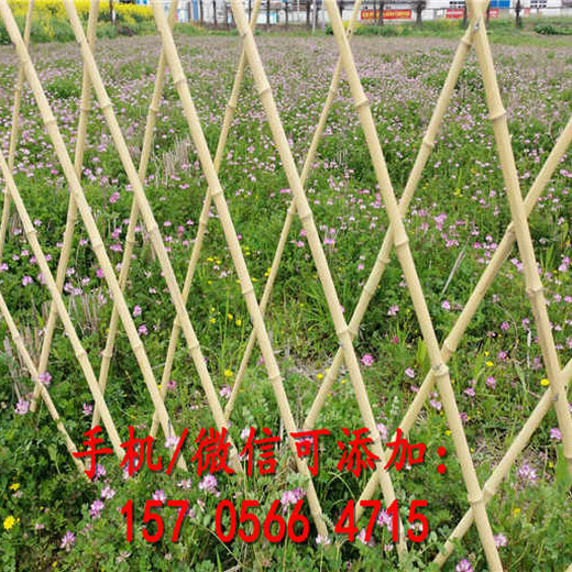 汤阴县竹篱笆栅栏PVC塑钢围栏市场价格