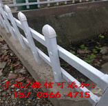 平湖市PVC塑钢护栏草坪绿化花园围栏栅栏的价格图片1