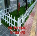 民勤县PVC塑钢护栏户外园林花园篱笆图片0