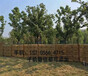 临洮县户外花园护栏紫竹帘竹竿围墙装饰