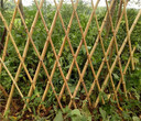 碌曲县庭院栏铁艺小区栅栏铸铁花园绿图片