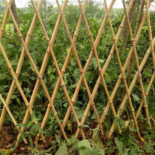 碌曲县庭院栏铁艺小区栅栏铸铁花园绿