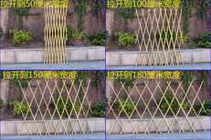 高邮市花园花坛草坪绿化栏杆围栏那个省钱图片4