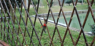 三门峡市室外篱笆围墙草坪院子庭院装饰护栏碳化图片5
