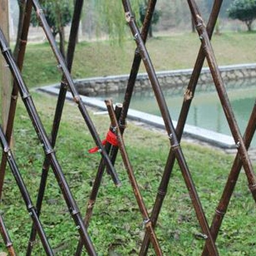 吴桥县塑钢护栏绿化栅栏草坪护栏厂家供应