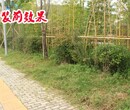 周至县变电站社区护栏大型篱笆栅栏厂区护栏